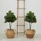 3ft. Artificial Fiddle Leaf Fig Tree With Handmade Cotton & Jute Woven Planter Set DIY Kit